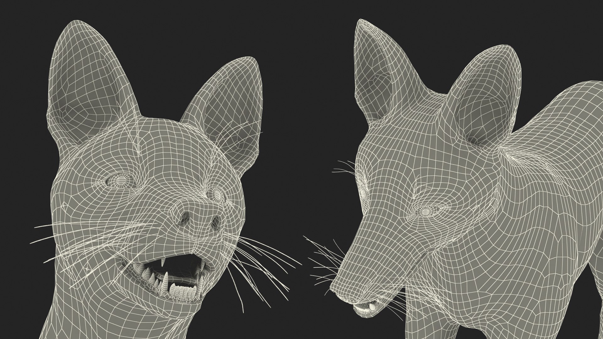 Chrysocyon 3D model https://p.turbosquid.com/ts-thumb/jE/yeF9kU/Zn/chrysocyonvray3dmodel036/jpg/1709594666/1920x1080/fit_q87/172cde53e328f3683bab670ba3d18e60804e69ff/chrysocyonvray3dmodel036.jpg