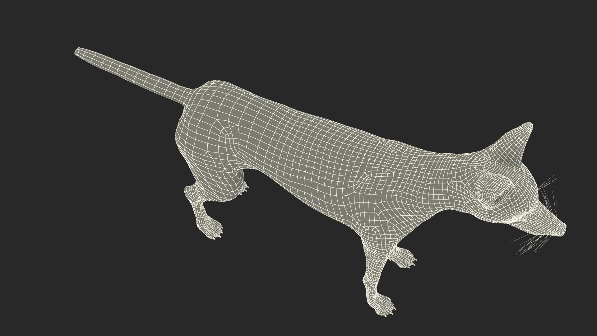 Chrysocyon 3D model https://p.turbosquid.com/ts-thumb/jE/yeF9kU/i6/chrysocyonvray3dmodel033/jpg/1709594654/1920x1080/fit_q87/c514f02114d6777c487670233c3c9525e7b95fb6/chrysocyonvray3dmodel033.jpg