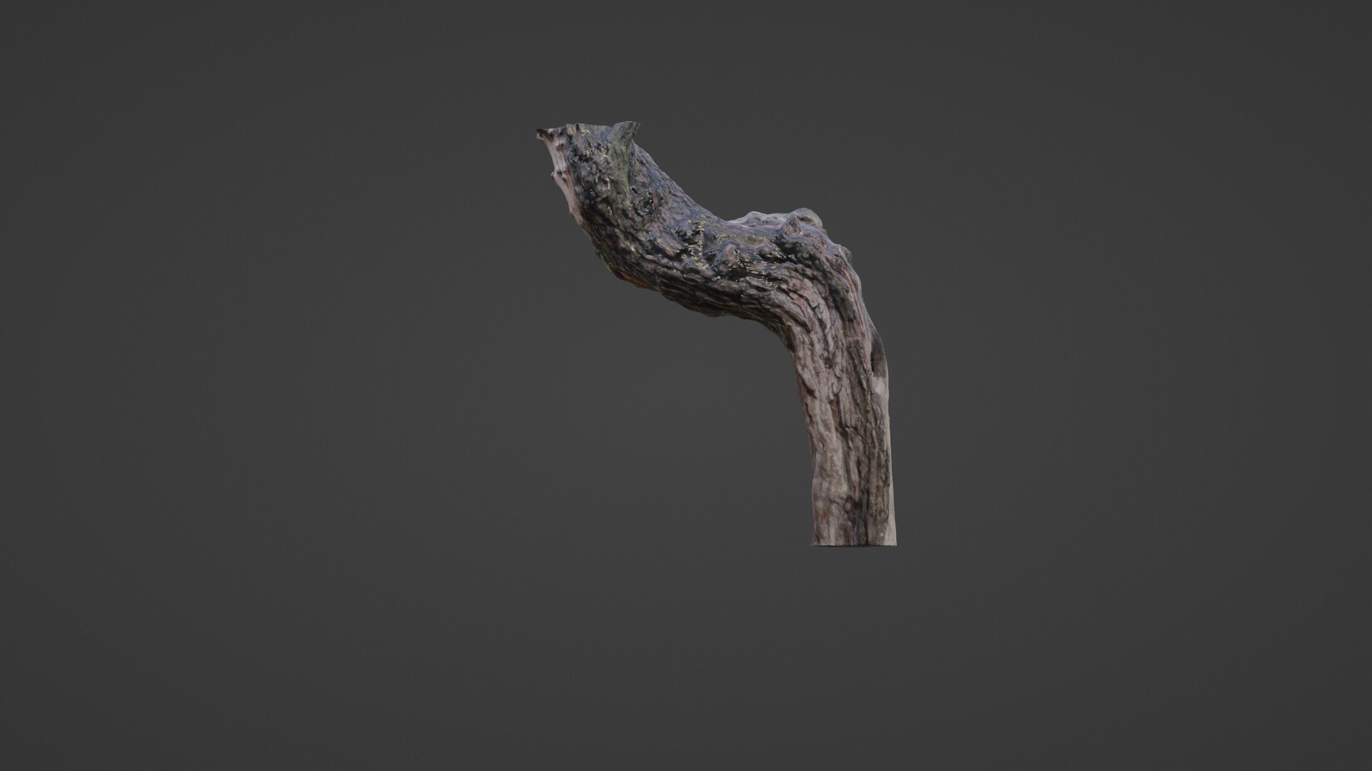 3D Fantsy Tree https://p.turbosquid.com/ts-thumb/jF/8TqIeA/LU/7/jpg/1735050133/1920x1080/fit_q87/47945e2ba3d89ffcf724409a16eedb6089ec149d/7.jpg