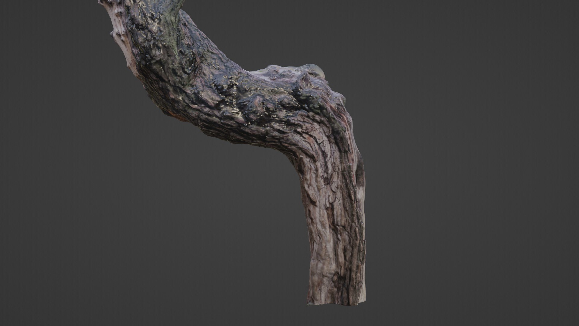 3D Fantsy Tree https://p.turbosquid.com/ts-thumb/jF/8TqIeA/Y0/5/jpg/1735050106/1920x1080/fit_q87/3c5534f57dffc4cc5082cd8c6364e0cfebf1ea8c/5.jpg