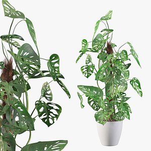 Monstera monkey mask 3D model