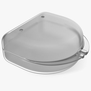 Transparent Mouthguard Case