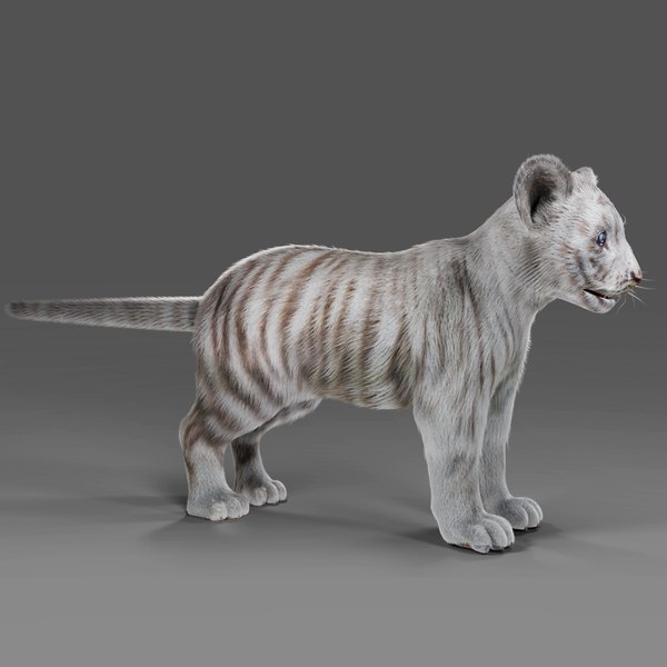 Filhote de tigre Modelo 3d