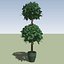 3D Tree (Topiary) for SketchUp
