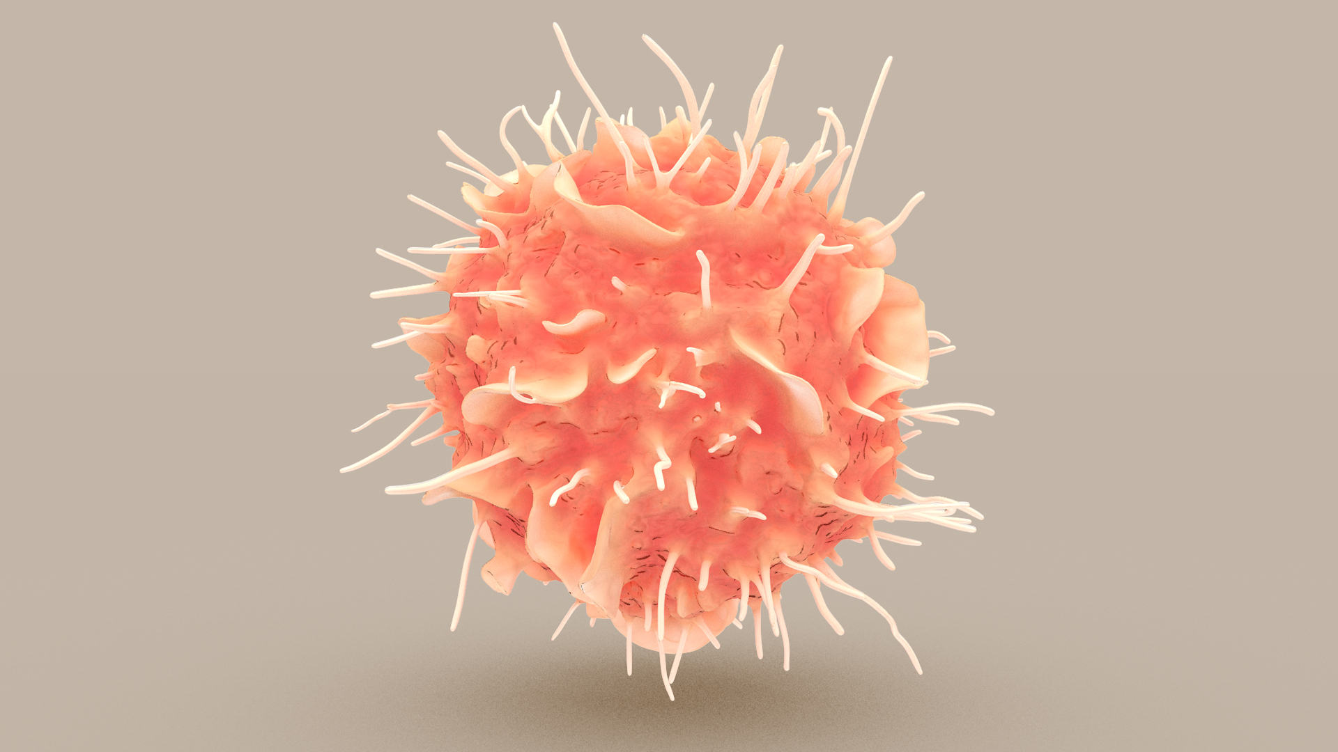 Dendritic Cell1 model https://p.turbosquid.com/ts-thumb/jF/udUYLl/0X/dcell_tint/jpg/1714390735/1920x1080/turn_fit_q99/f6b440edbe8ad27d18406f1feff335dfa44d5767/dcell_tint-1.jpg