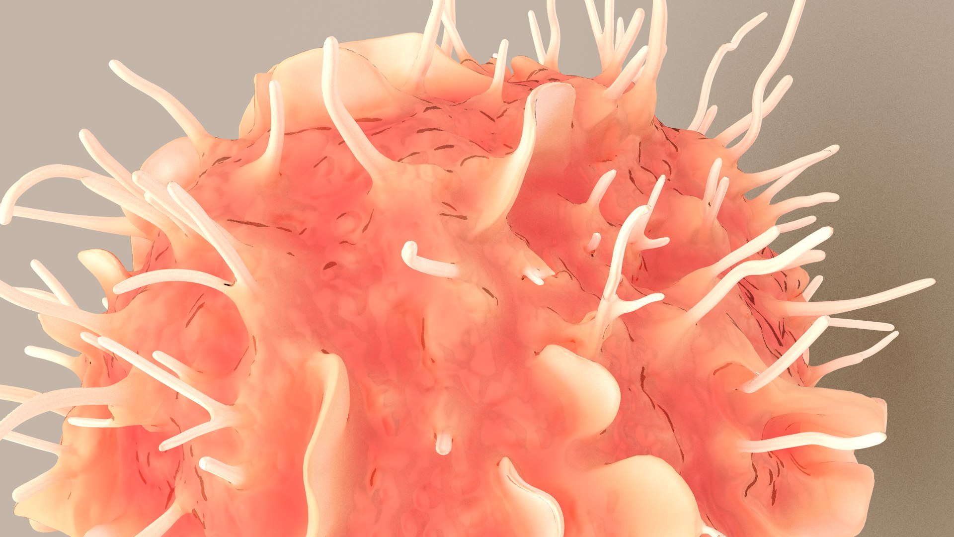 Dendritic Cell1 model https://p.turbosquid.com/ts-thumb/jF/udUYLl/0s/dcell_tint_0015/jpg/1714391029/1920x1080/fit_q87/122caae0774a2dc0e666937b3d0be12b1b61892f/dcell_tint_0015.jpg