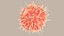 Dendritic Cell1