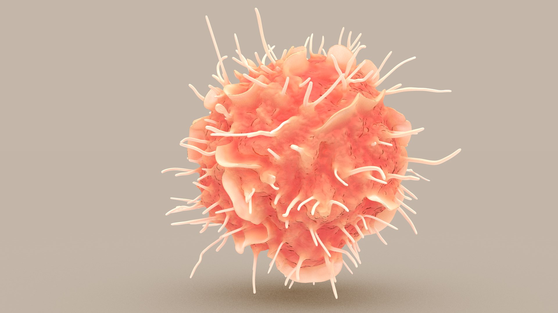 Dendritic Cell1 model https://p.turbosquid.com/ts-thumb/jF/udUYLl/D2/dcell_tint_0008/jpg/1714391025/1920x1080/fit_q87/b1a5ed7f2a4bb430104955922c00a32f2161e6ac/dcell_tint_0008.jpg