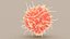 Dendritic Cell1