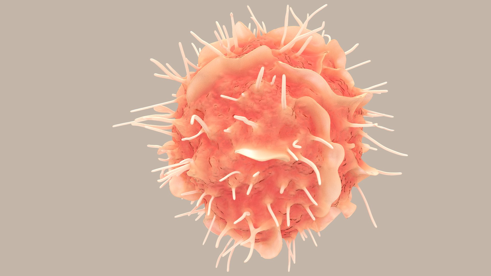 Dendritic Cell1 model https://p.turbosquid.com/ts-thumb/jF/udUYLl/FK/dcell_tint_0019/jpg/1714391035/1920x1080/fit_q87/71c136a101e56e2e7e4139f30f3b823e1bc52108/dcell_tint_0019.jpg