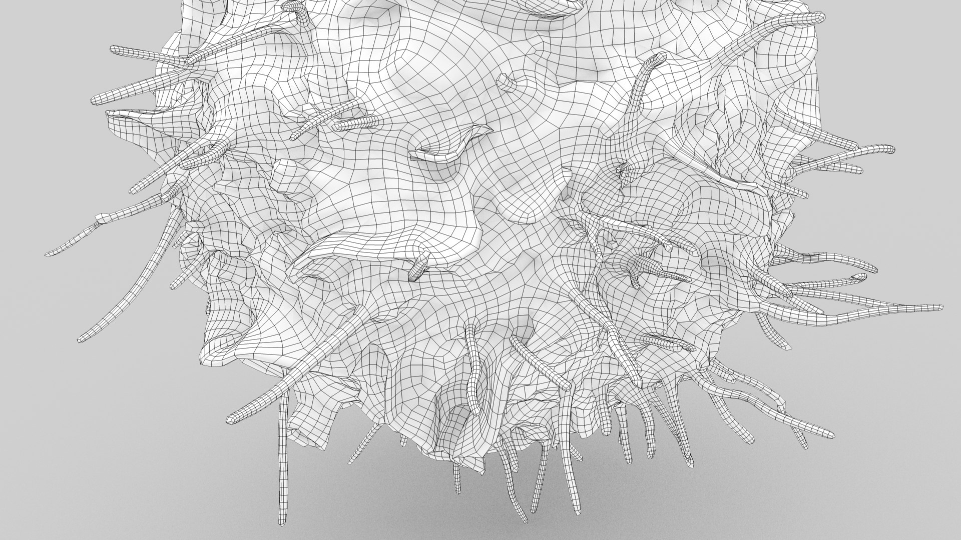 Dendritic Cell1 model https://p.turbosquid.com/ts-thumb/jF/udUYLl/Hj/dendriticcell_outline_0017/jpg/1714391528/1920x1080/fit_q87/461b57cc61e8133c400d69f1ce304912e368c883/dendriticcell_outline_0017.jpg