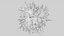 Dendritic Cell1