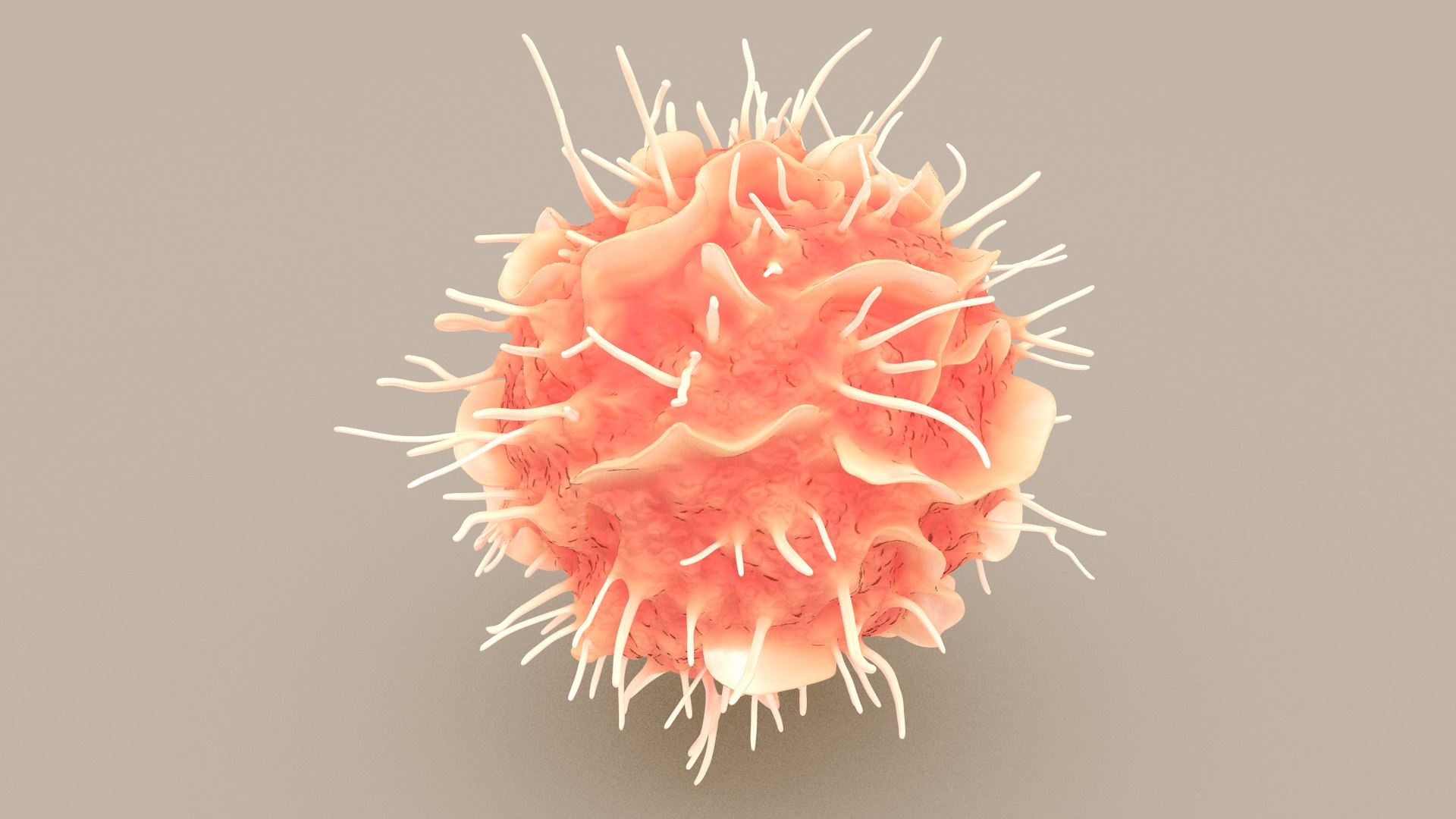 Dendritic Cell1 model https://p.turbosquid.com/ts-thumb/jF/udUYLl/Ni/dcell_tint_0005/jpg/1714391022/1920x1080/fit_q87/e37ffa40e36a0546b267a609639811460ca20308/dcell_tint_0005.jpg