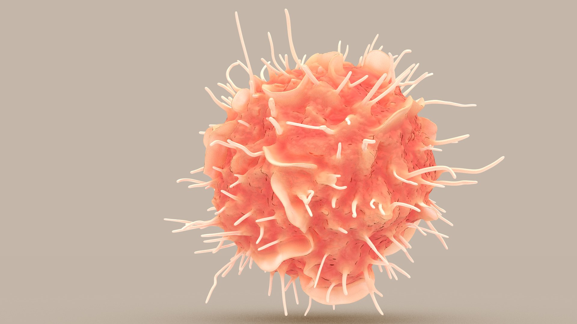 Dendritic Cell1 model https://p.turbosquid.com/ts-thumb/jF/udUYLl/P9/dcell_tint_0006/jpg/1714391025/1920x1080/fit_q87/2a9fb0d4acb7e41e67c8abca38c545fa81a9c4ac/dcell_tint_0006.jpg