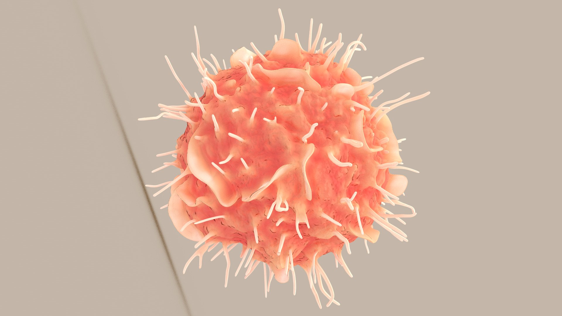 Dendritic Cell1 model https://p.turbosquid.com/ts-thumb/jF/udUYLl/SG/dcell_tint_0011/jpg/1714391026/1920x1080/fit_q87/ed1d26cc1bb7585cb0da1a5362c3fa678b292f98/dcell_tint_0011.jpg