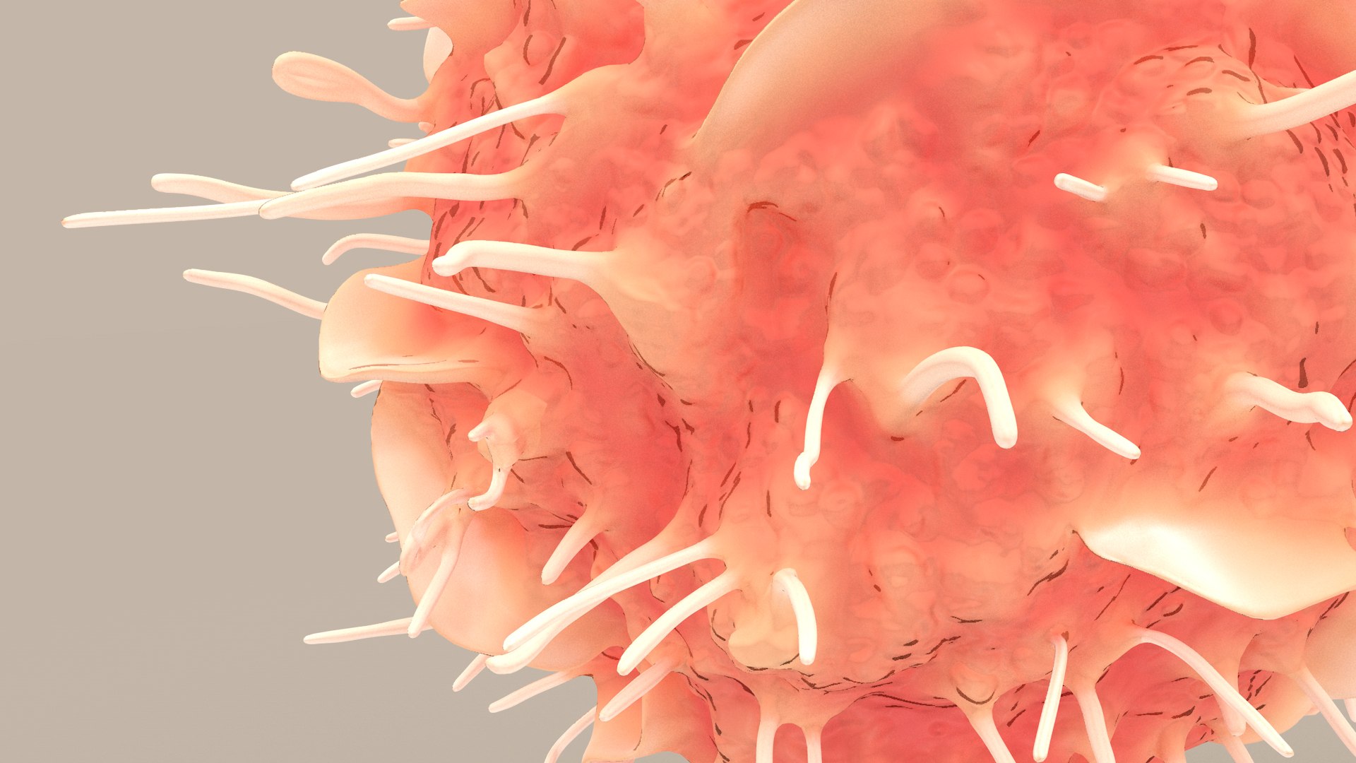Dendritic Cell1 model https://p.turbosquid.com/ts-thumb/jF/udUYLl/Ta/dcell_tint_0020/jpg/1714391031/1920x1080/fit_q87/2c246b65707029434e12197977b51062270ba31b/dcell_tint_0020.jpg
