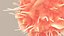Dendritic Cell1