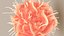 Dendritic Cell1