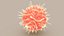 Dendritic Cell1