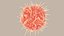 Dendritic Cell1