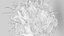 Dendritic Cell1