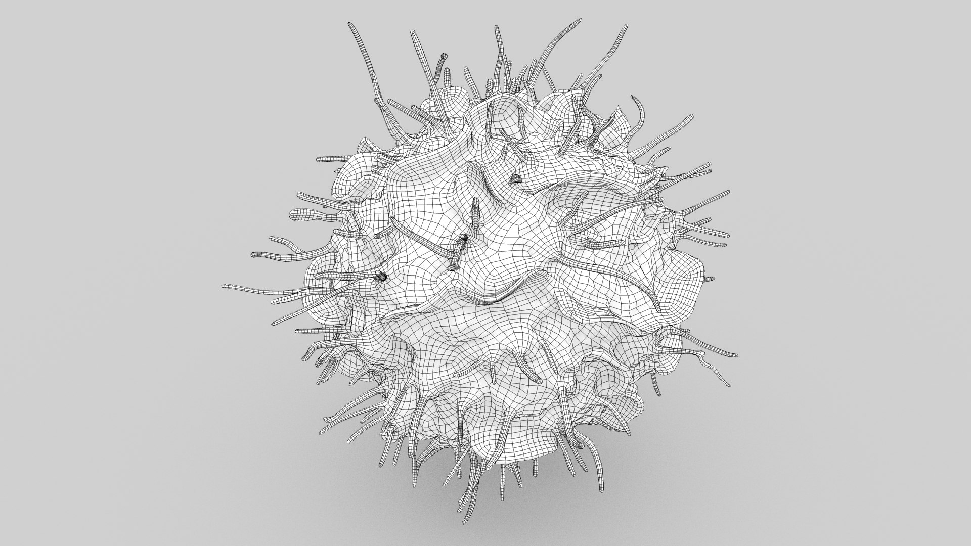 Dendritic Cell1 model https://p.turbosquid.com/ts-thumb/jF/udUYLl/aK/dendriticcell_outline_0005/jpg/1714391519/1920x1080/fit_q87/e192724bb89c1963a3935dc4410195503da2fdb6/dendriticcell_outline_0005.jpg