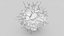 Dendritic Cell1