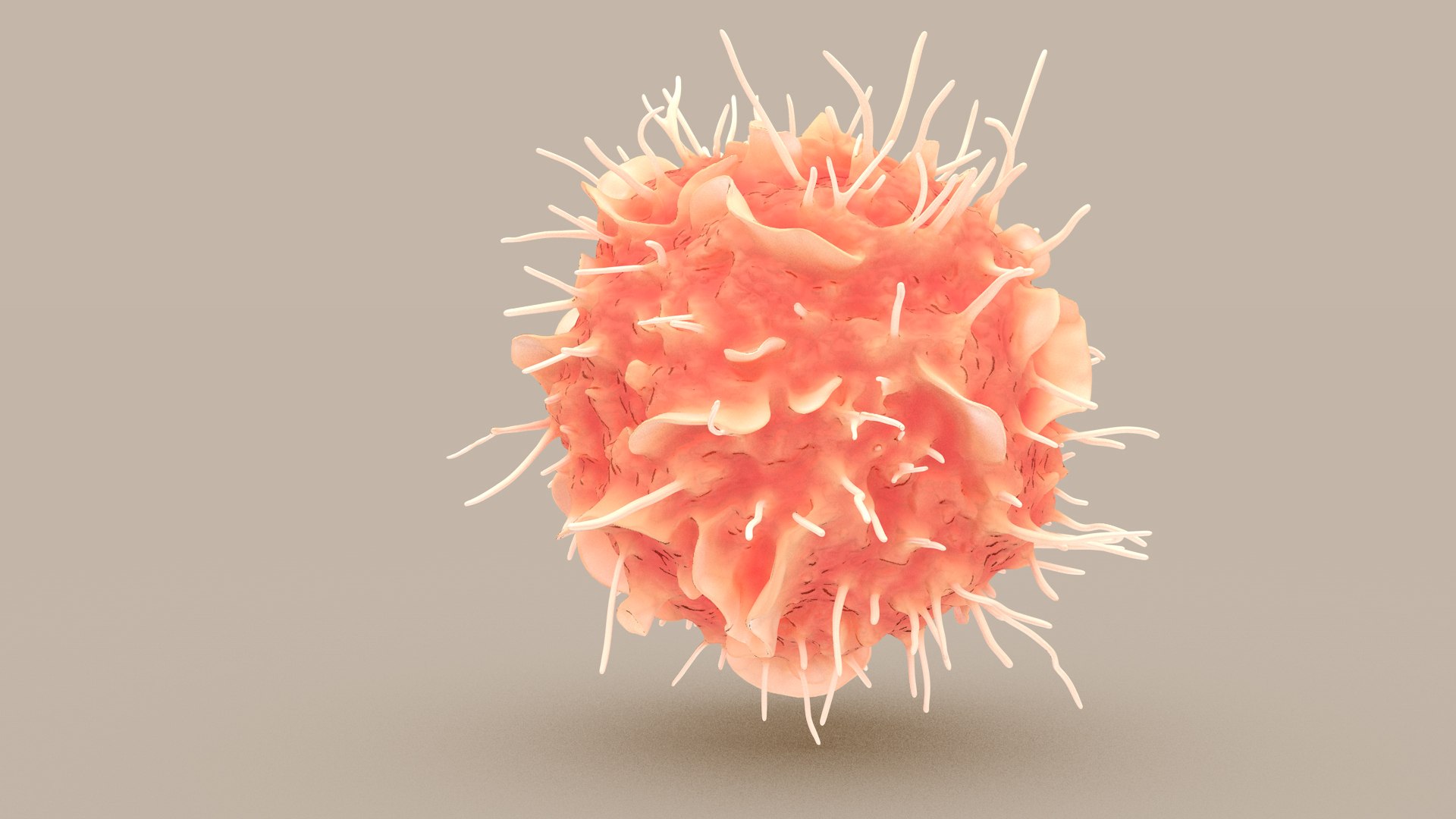 Dendritic Cell1 model https://p.turbosquid.com/ts-thumb/jF/udUYLl/bD/dcell_tint_000/jpg/1714391856/1920x1080/fit_q87/73e3fe8ebbf327b49668d0ce5955caccb9a94148/dcell_tint_000.jpg