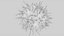 Dendritic Cell1