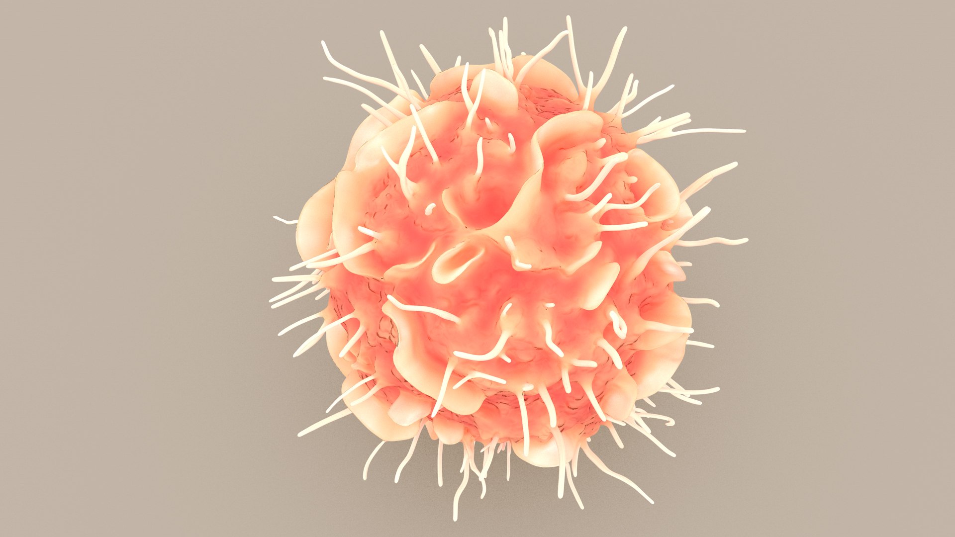 Dendritic Cell1 model https://p.turbosquid.com/ts-thumb/jF/udUYLl/dr/dcell_tint_0004/jpg/1714391022/1920x1080/fit_q87/44f274014facbd12f7b5d15def983a61deb0c9ac/dcell_tint_0004.jpg