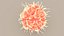 Dendritic Cell1