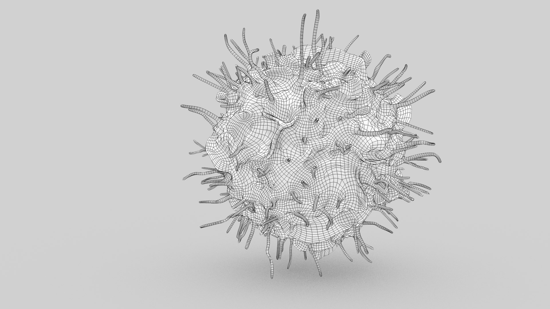 Dendritic Cell1 model https://p.turbosquid.com/ts-thumb/jF/udUYLl/e2/dendriticcell_outline_0002/jpg/1714391517/1920x1080/fit_q87/f4fc2613253de47f66b4a7c93a2fa078fe3b6d1e/dendriticcell_outline_0002.jpg