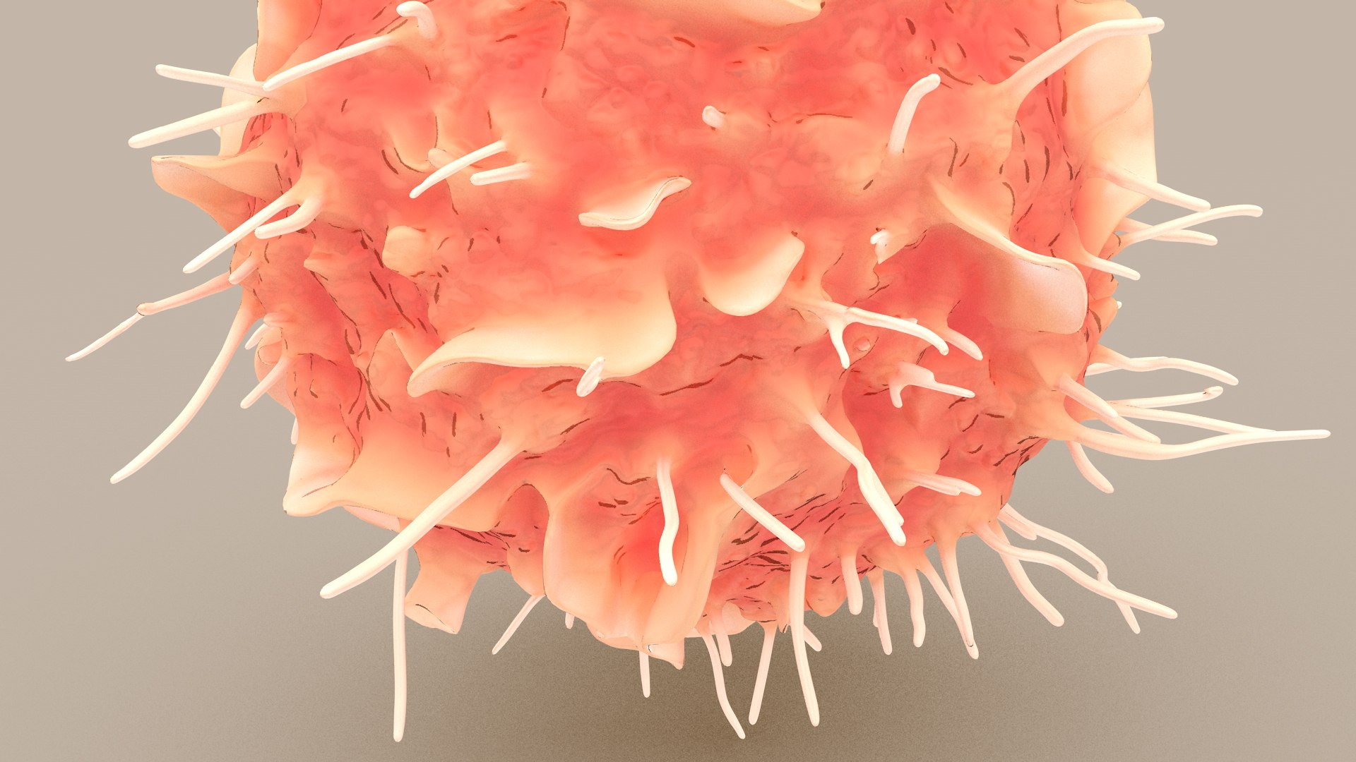 Dendritic Cell1 model https://p.turbosquid.com/ts-thumb/jF/udUYLl/fU/dcell_tint_0017/jpg/1714391033/1920x1080/fit_q87/7dab876048e65009b49edcebbba558118fe8c27b/dcell_tint_0017.jpg