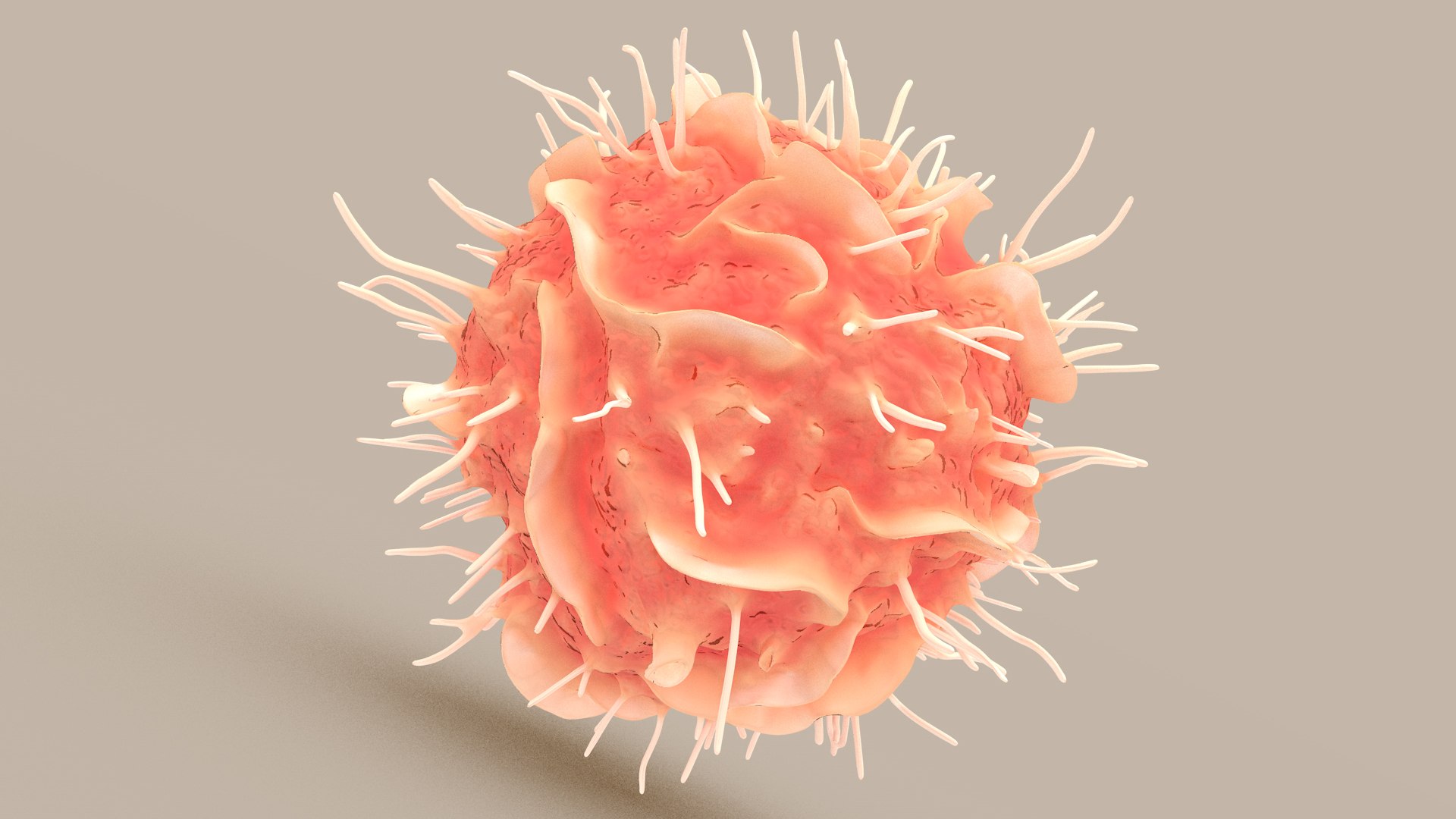 Dendritic Cell1 model https://p.turbosquid.com/ts-thumb/jF/udUYLl/ip/dcell_tint_0010/jpg/1714391027/1920x1080/fit_q87/95f3158bfeab769af84017a623767f3fd63514b7/dcell_tint_0010.jpg