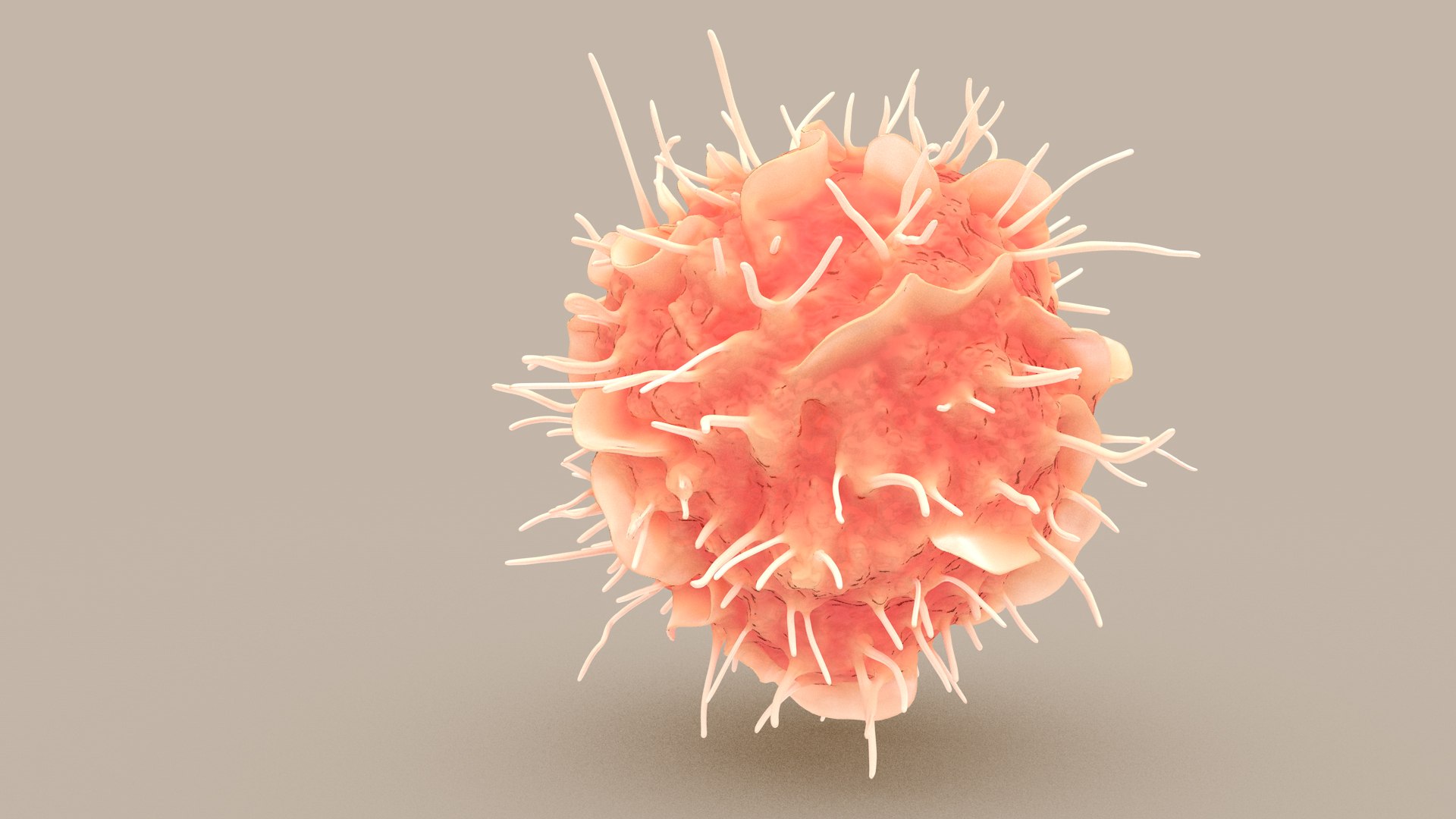 Dendritic Cell1 model https://p.turbosquid.com/ts-thumb/jF/udUYLl/lv/dcell_tint_0001/jpg/1714391019/1920x1080/fit_q87/23b14111dccf5111ae7504bfaf9af15fe0433241/dcell_tint_0001.jpg
