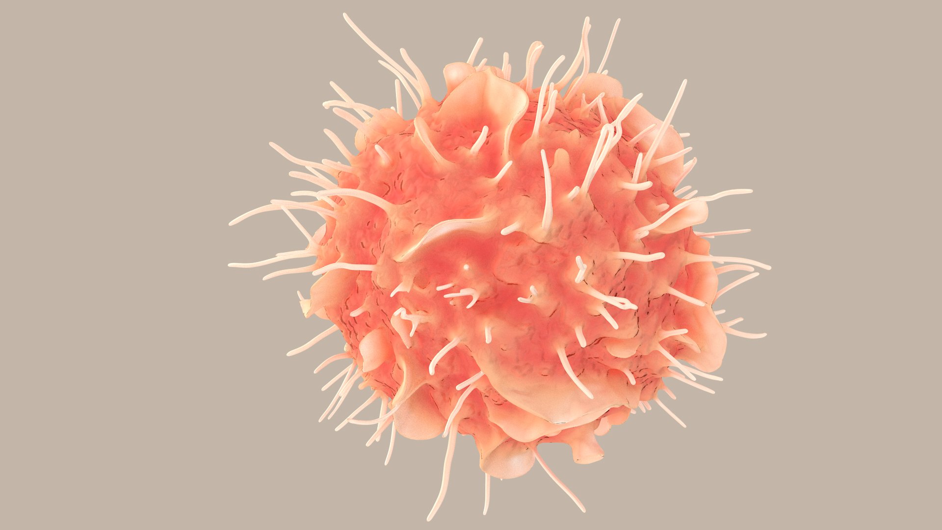 Dendritic Cell1 model https://p.turbosquid.com/ts-thumb/jF/udUYLl/m7/dcell_tint_0009/jpg/1714391025/1920x1080/fit_q87/8f7f11c1756e603b23b9536148629605eb91dac1/dcell_tint_0009.jpg