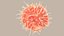 Dendritic Cell1