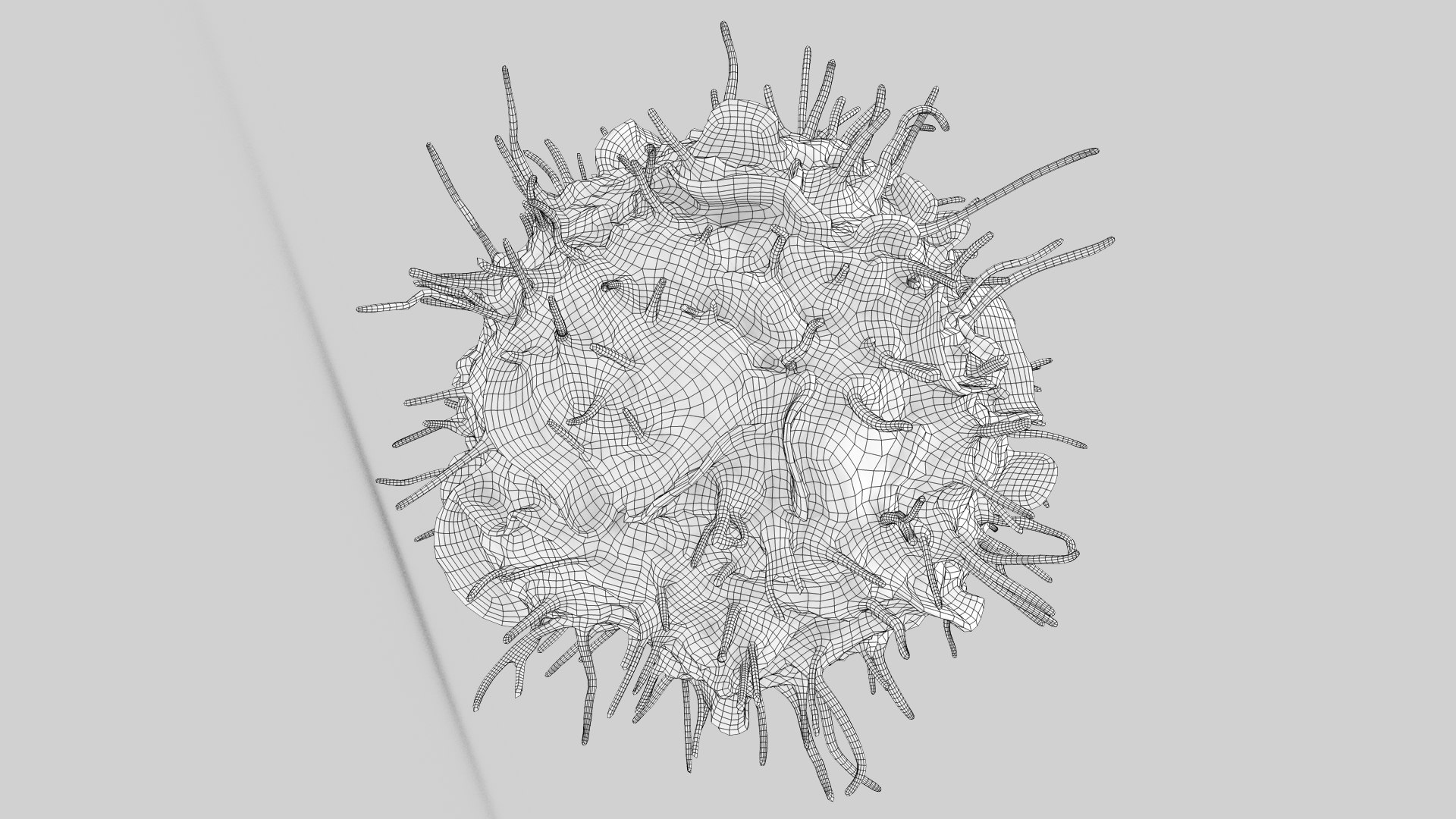 Dendritic Cell1 model https://p.turbosquid.com/ts-thumb/jF/udUYLl/qJ/dendriticcell_outline_0011/jpg/1714391525/1920x1080/fit_q87/27baab5d6e002842096ebc9bc9418d23f83a8f4b/dendriticcell_outline_0011.jpg