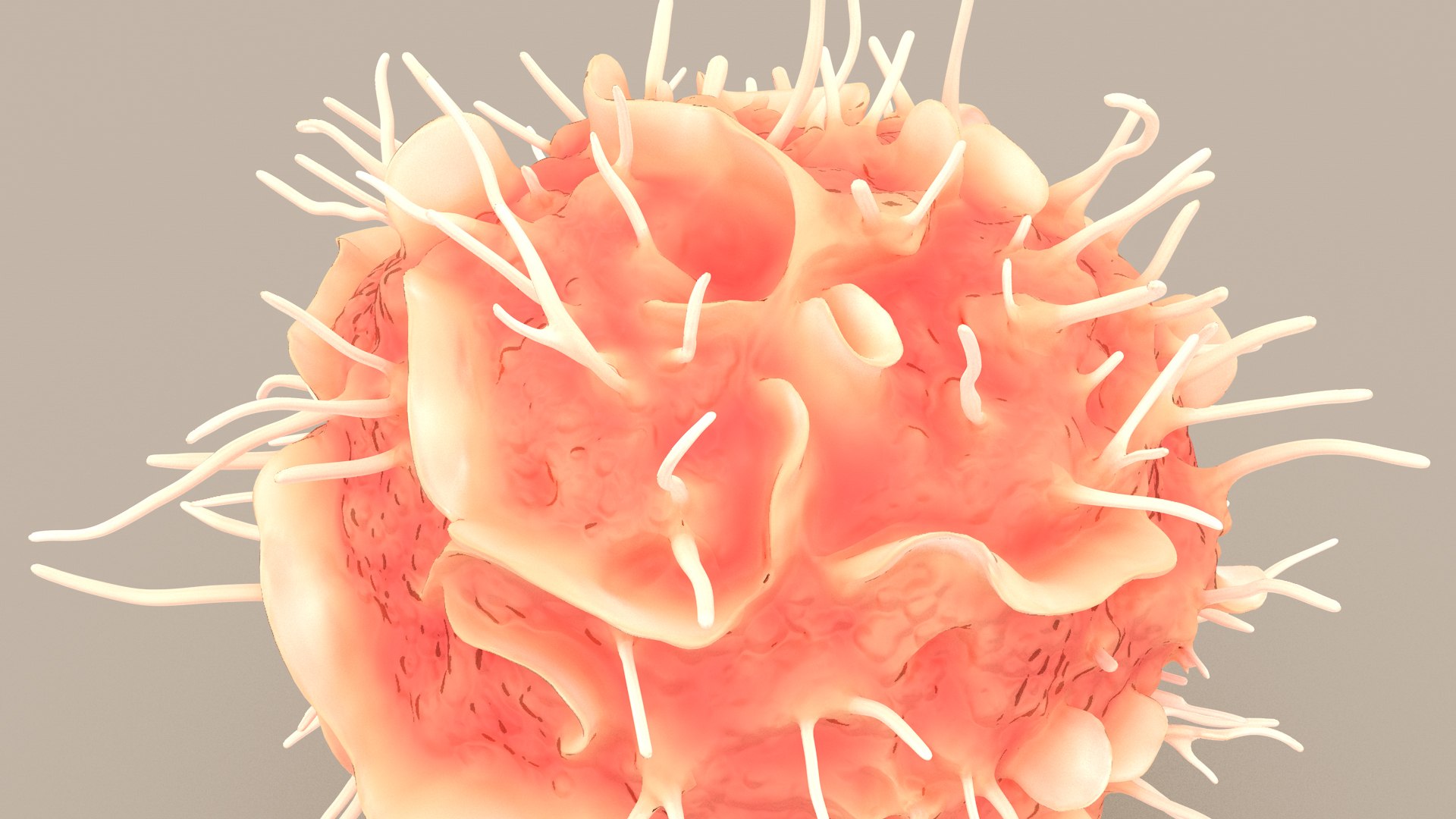 Dendritic Cell1 model https://p.turbosquid.com/ts-thumb/jF/udUYLl/uQ/dcell_tint_0018/jpg/1714391030/1920x1080/fit_q87/e1ad936a6f8babe2ecca129ffdd90cc5b54097ea/dcell_tint_0018.jpg