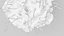 Dendritic Cell1