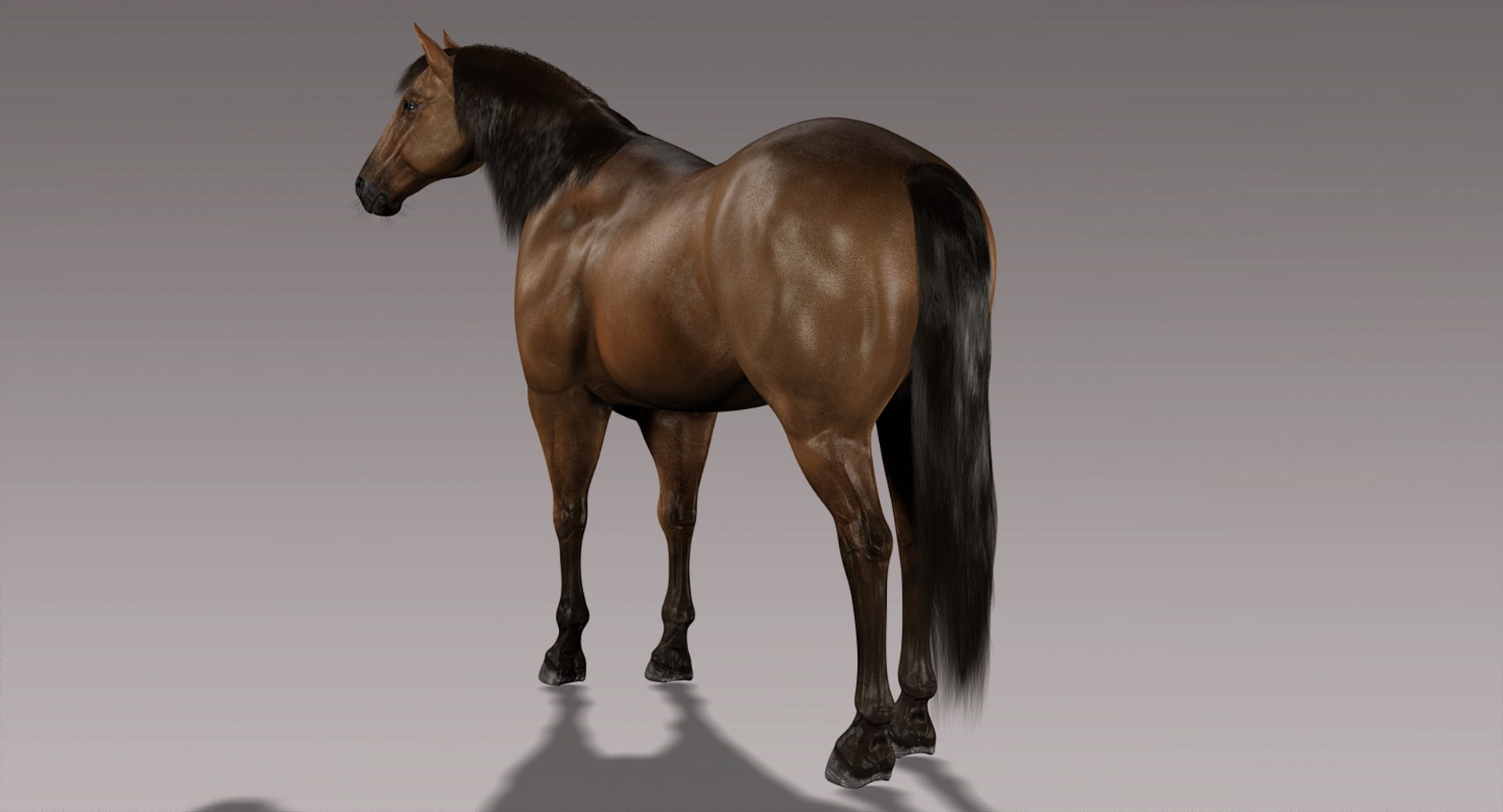 horse brown fur animation 3d model https://p.turbosquid.com/ts-thumb/jG/1QS7Yx/8SOi7stn/c/jpg/1431241886/1920x1080/fit_q87/260f49ef5bedaa328540a67278da36be12ca8654/c.jpg