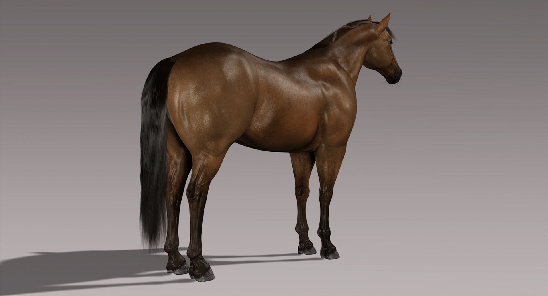 horse brown fur animation 3d model https://p.turbosquid.com/ts-thumb/jG/1QS7Yx/EhDMmXq5/l/jpg/1431241886/1920x1080/fit_q87/c689a434e5294c77c683eff55af4485e84252594/l.jpg