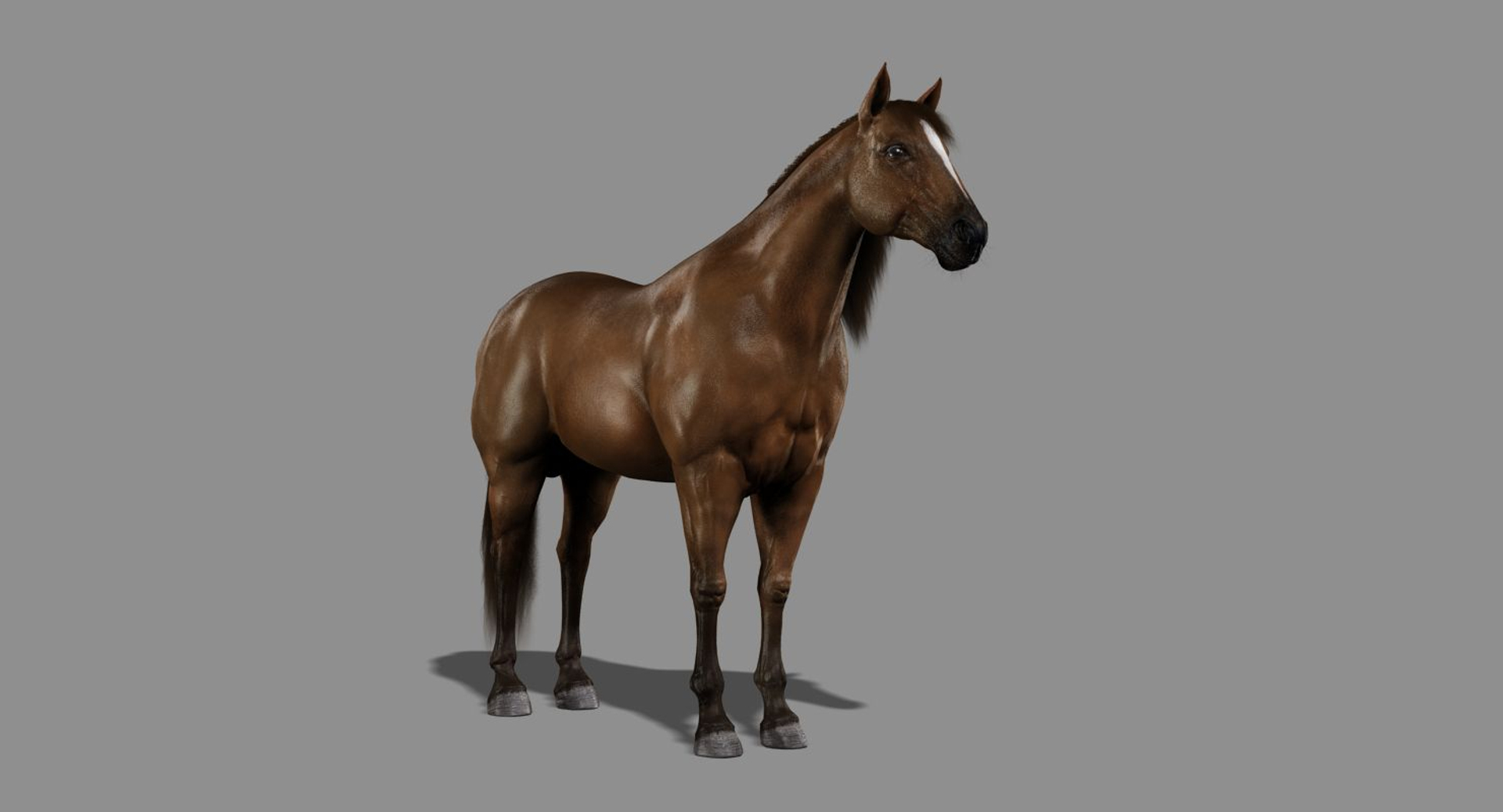 horse brown fur animation 3d model https://p.turbosquid.com/ts-thumb/jG/1QS7Yx/FghG7Fpf/death/jpg/1431923957/1920x1080/turn_fit_q99/822e5f47ae755e49c71986dabb1e97f0f14ebd86/death-1.jpg