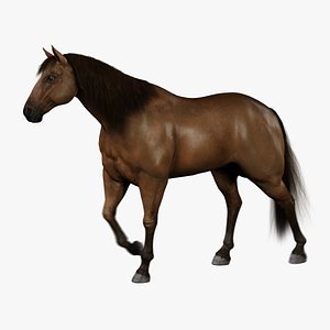 Horse (Brown) (Animated) (Fur)