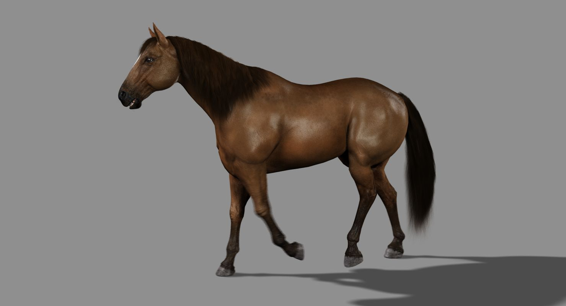 horse brown fur animation 3d model https://p.turbosquid.com/ts-thumb/jG/1QS7Yx/WVuecN17/walk/jpg/1431818807/1920x1080/turn_fit_q99/cd4230cad93bba8dd34ddd38db7693bc3ea1aa2a/walk-1.jpg