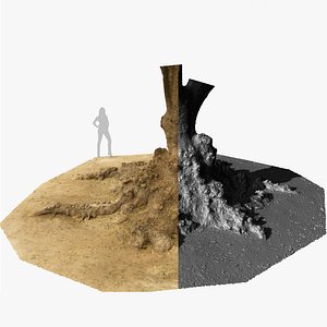 Giant Ombu Tree Roots 2 1x16k  2x16k  4x16k Textures 3D Scan Ultra HQ mesh OBJ model