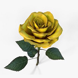 Single Yellow Rose 3D