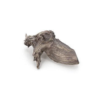 3D tree beach stump