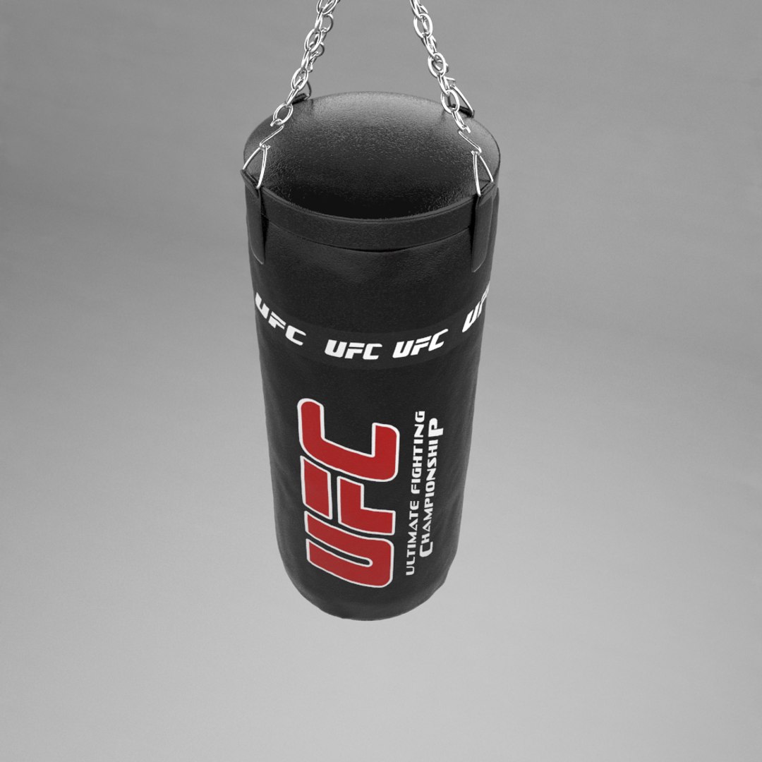 3d model punching bag v3 https://p.turbosquid.com/ts-thumb/jG/Fkkw52/O9DswWG7/r2/png/1452968489/1920x1080/fit_q87/39262f4d27056ea82da41fc91461dd00d417d9ae/r2.jpg