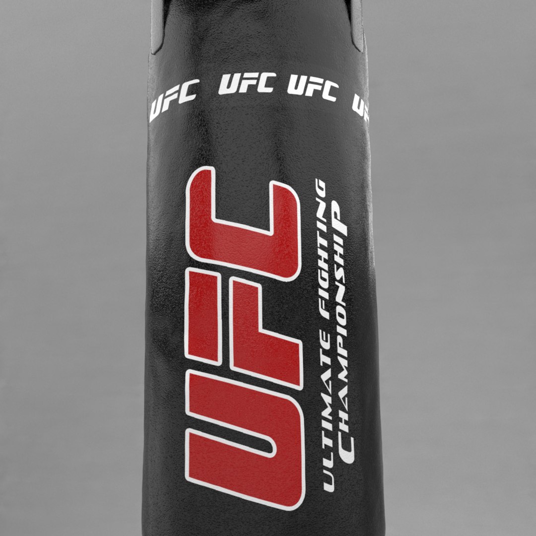 3d model punching bag v3 https://p.turbosquid.com/ts-thumb/jG/Fkkw52/i3hxlc3S/r3/png/1452968489/1920x1080/fit_q87/2d99b6c3026ef08e5e0ff67c4dc89d3f75f6f0d9/r3.jpg